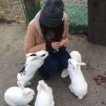 12276823_487288278109359_2129642825_a