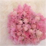 924168_620379548089718_434397896_a