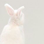 12407702_1670568839885706_1697437340_a