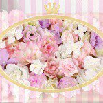 11240414_1571527779787036_738171875_a