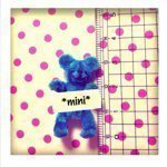 11348268_465537353629260_1368194843_a