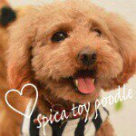 10707075_358377644329792_799753884_a