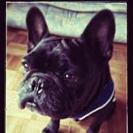 12142331_958581324185354_192871423_a