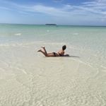 12093436_882422008519822_1305339479_a