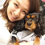 12534214_887690338012763_1014777788_a