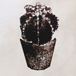 12298880_1532325413753256_925549131_a