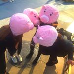 12145565_491071371071324_354875843_a