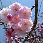 11850001_1899388300286218_1420778254_a