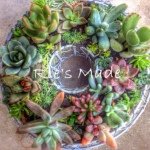 11375306_1466847446972944_1695477032_a