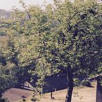 929274_898497310264696_1541682079_a