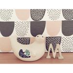 11849408_398842046976157_1755042417_a