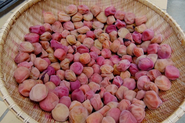 梅干し／byYasunobu HIRAOKA