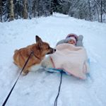 11850247_904013536357513_672259443_a