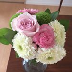 12362508_1661895470719063_7342374_a