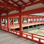 11325425_1614443832170372_826652381_a