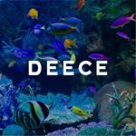 12555935_131560247223657_1818005678_a