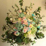 11376090_1610686509170991_1193010631_a