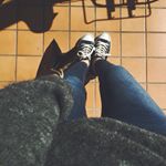 12547467_1015618495166971_906175486_a