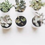 11348193_120253318331056_1300710_a