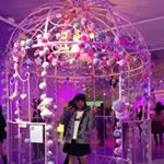 10549857_494005940782325_2090070904_a