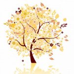 10985985_1533930163538613_748617850_a