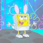 11917832_868931529827579_1789010087_a