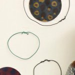 10914457_1577869529121108_1145125392_a