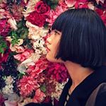 10413885_192527591102139_712667561_a