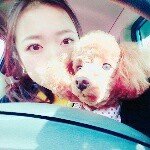 12545321_653148774787635_127158481_a