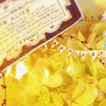 11377814_1480758428886562_25007459_a