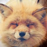 12345751_1648911925397427_666276089_a