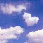 11325017_1624622611152207_579472321_a