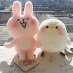 12353868_1747315452154967_2061819080_a