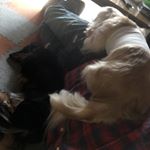 12547359_728433727257475_1426152046_a