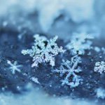 11373890_118634605136541_550927823_a