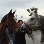 10950422_407836269389148_1733829447_a