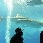 12269998_435692836614703_1471068476_a