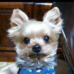 11887253_1659621097582766_777558272_a