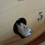 12093302_880441102051501_286787623_a