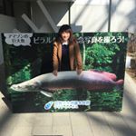 12357635_1708186976064143_1290047632_a