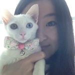 11356743_1459678831002612_1105863755_a