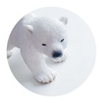 12479215_907021222746572_938288304_a