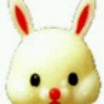 11881734_336404009885026_1411188657_a