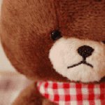 11282044_817428304993636_1832877550_a