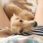 924128_637051103103117_658609478_a