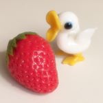 12107553_971984066194776_1714097477_a