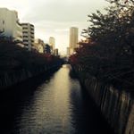 12407309_223693071300676_97572380_a