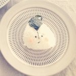 11820506_1655627774681025_1167356447_a