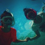 11909216_708921369208171_2042057135_a