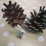 11371021_465590626952584_1058224171_a